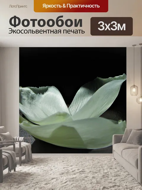 Фотообои Тюльпан