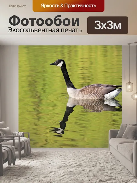 Фотообои Гусь