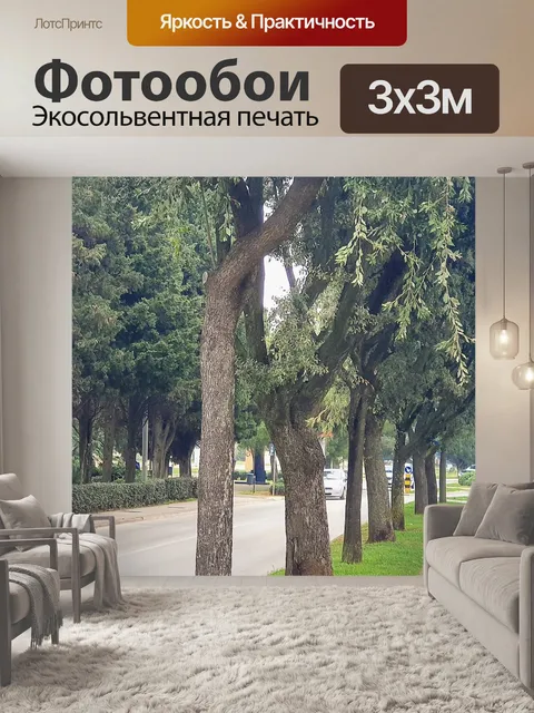 Фотообои Дерево