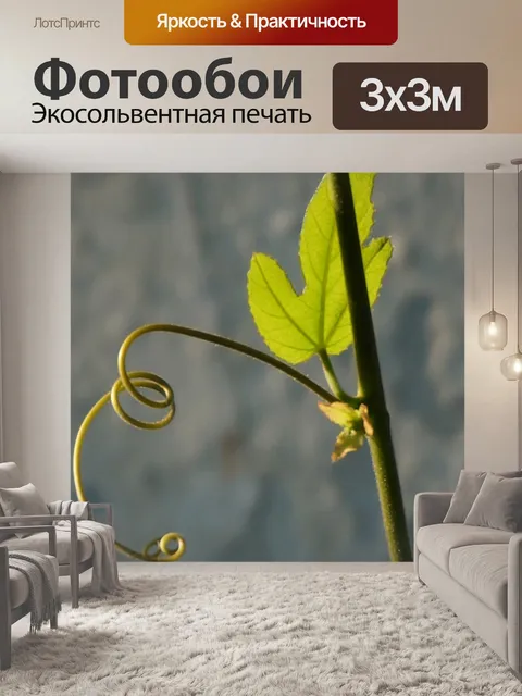Фотообои Лист