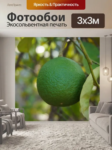 Фотообои Лайм