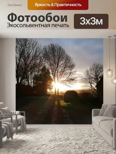 Фотообои Дерево