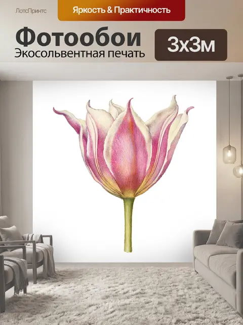 Фотообои Стикер цветы винтаж арт