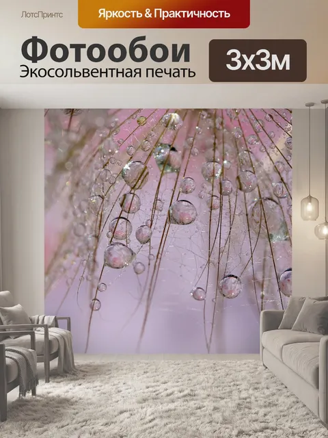 Фотообои Одуванчик