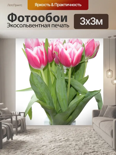 Фотообои Тюльпаны