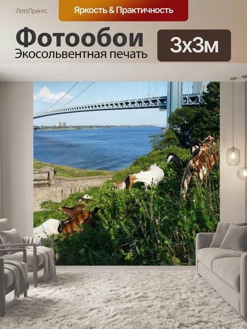 Фотообои Мост