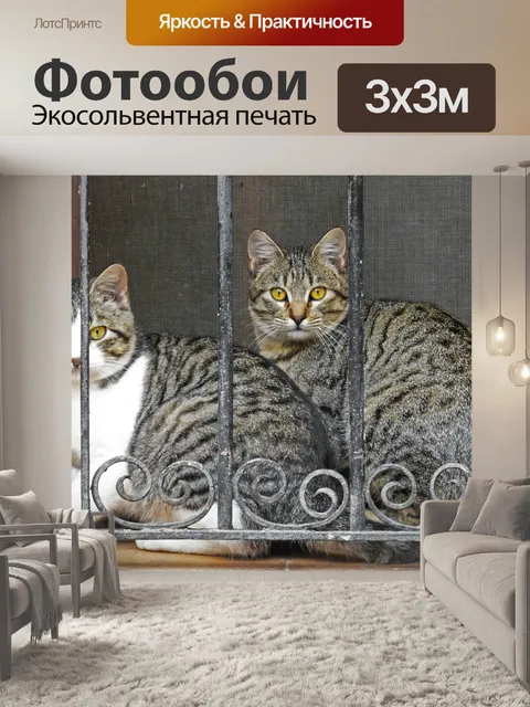 Фотообои Кошки