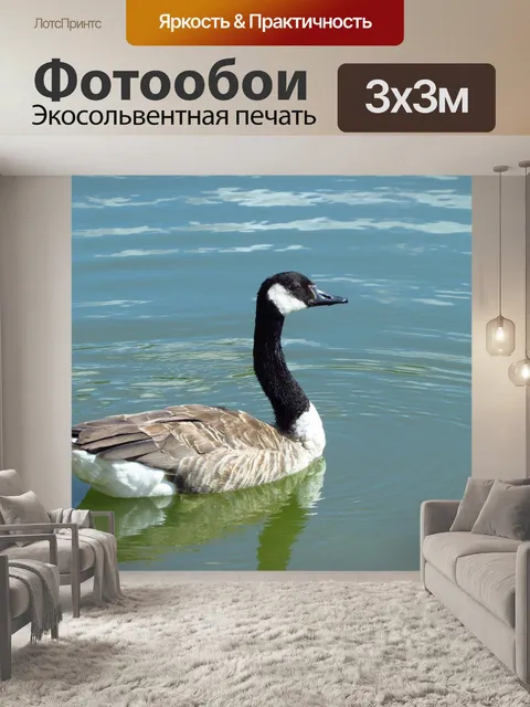 Фотообои Птица