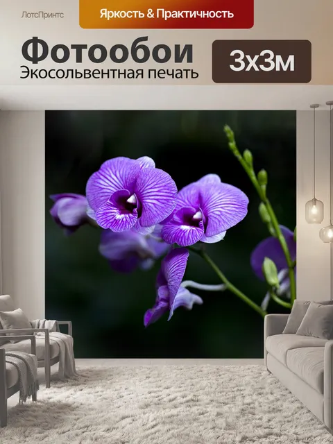 Фотообои Орхидеи