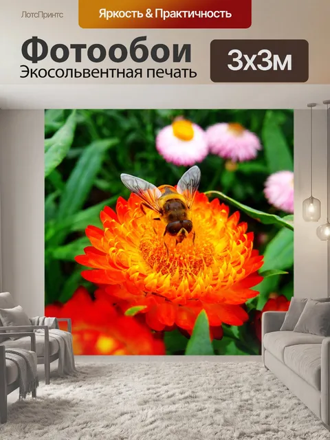 Фотообои Листья