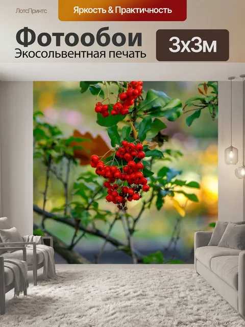 Фотообои Ботанический сад в Быдгоще