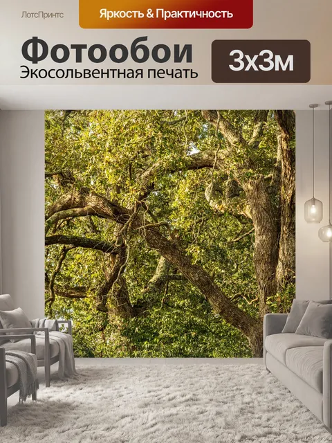 Фотообои Дерево