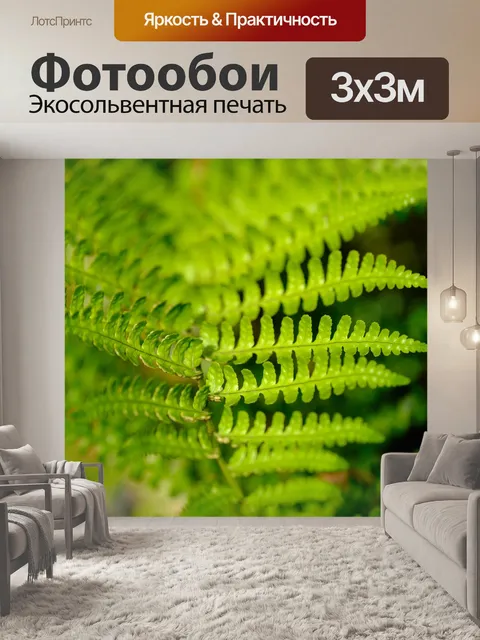 Фотообои Папоротник
