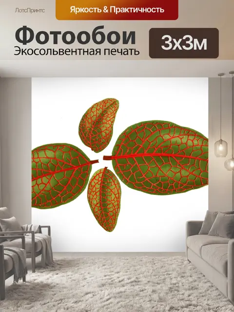 Фотообои Листва лист растение прозрачный