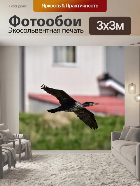 Фотообои Животное