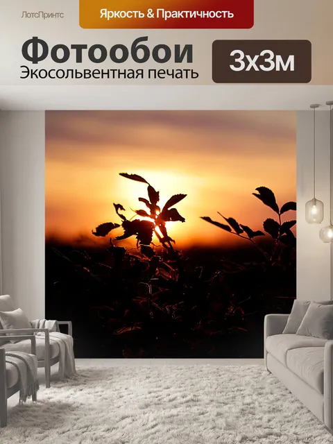 Фотообои Заход солнца