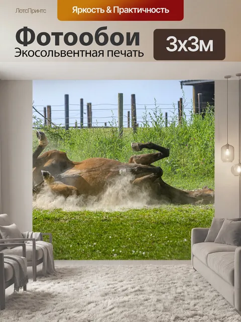 Фотообои Лошадь
