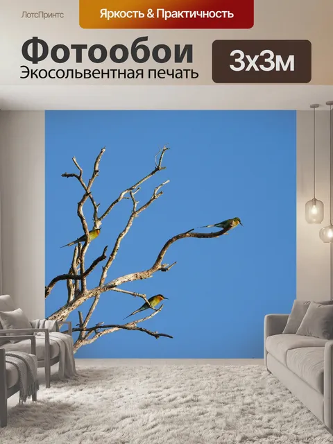 Фотообои Пейзаж