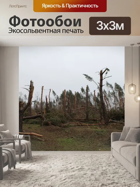 Фотообои Дерево