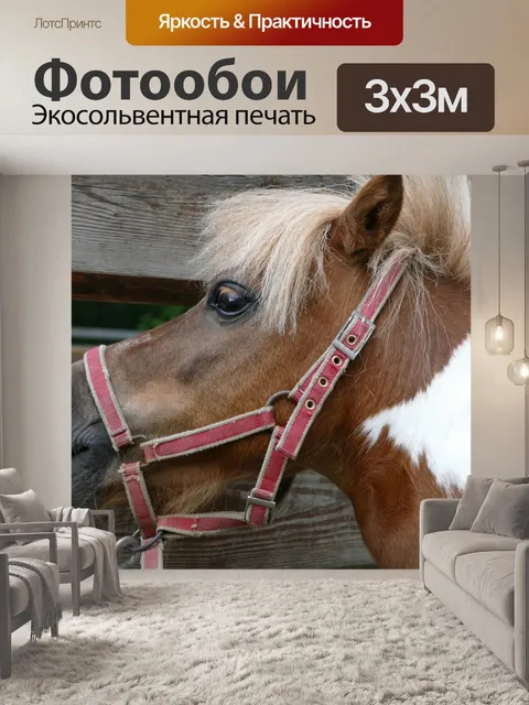 Фотообои Пони