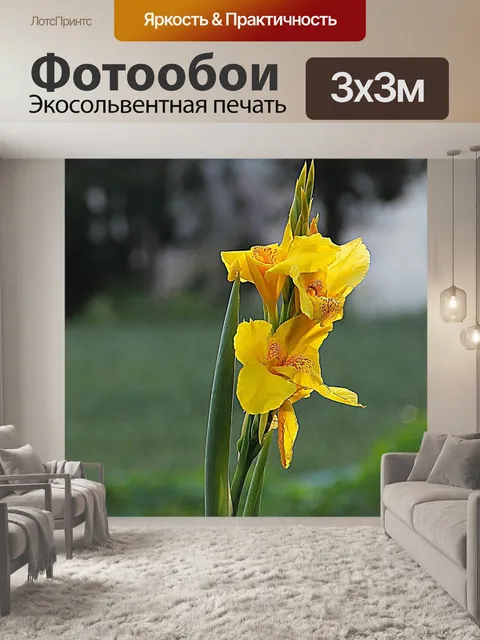 Фотообои Ирис