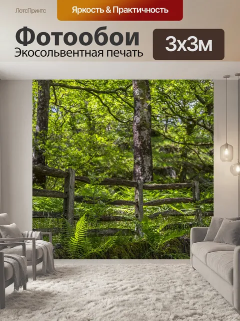 Фотообои Деревянный забор в лесу