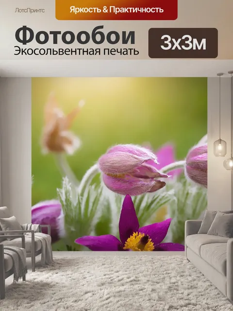Фотообои Цветок