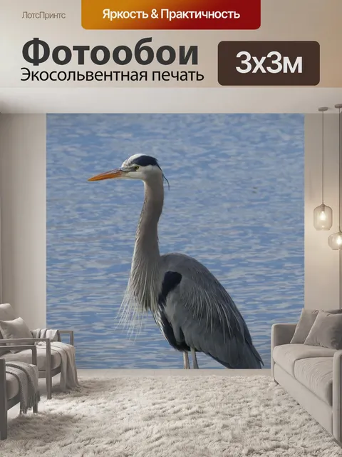 Фотообои Птица