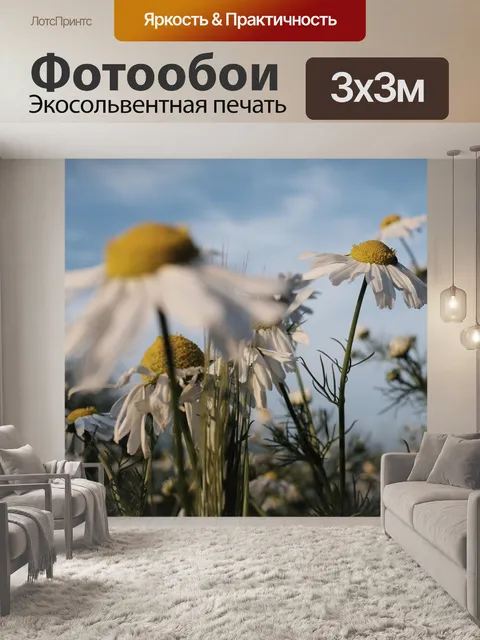 Фотообои Луг