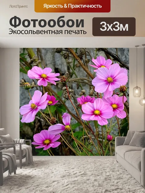 Фотообои Космос