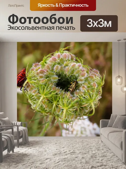 Фотообои Природа