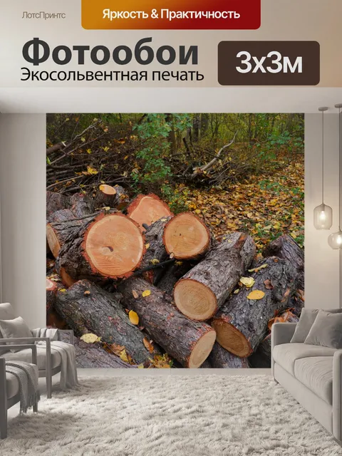 Фотообои лес