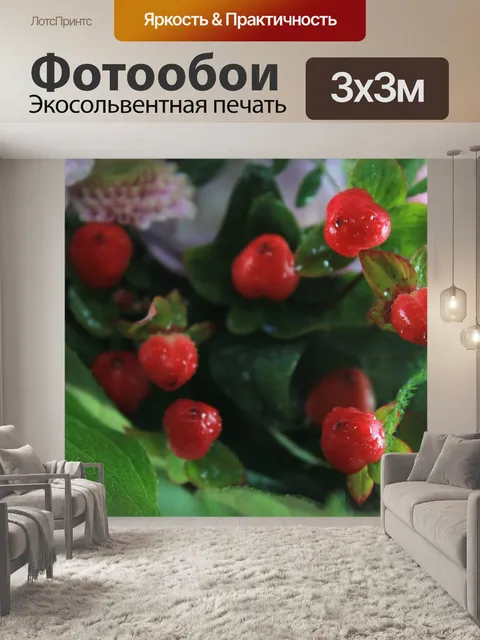 Фотообои Ягода