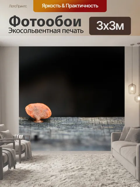 Фотообои Природа
