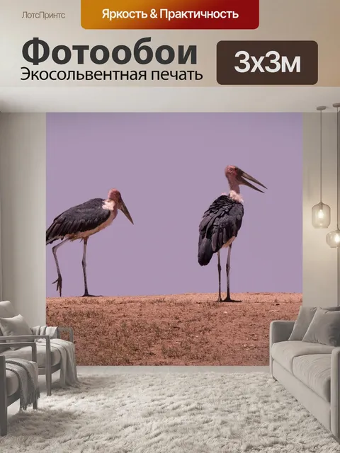Фотообои Аист марабу