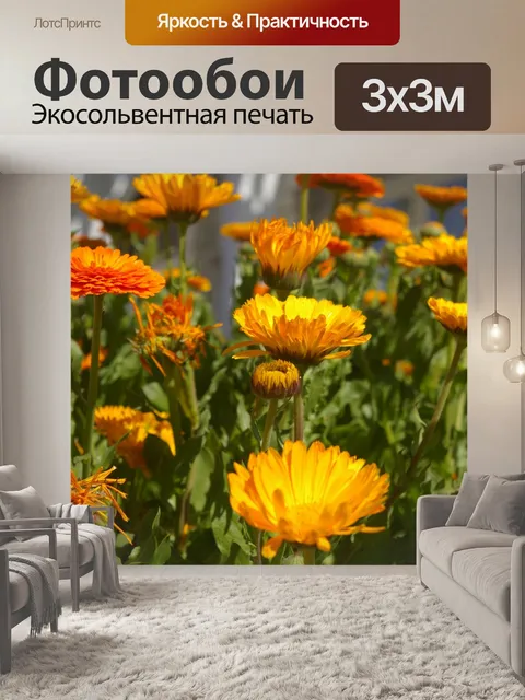 Фотообои Цветы