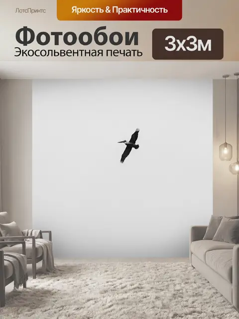 Фотообои Пеликаны