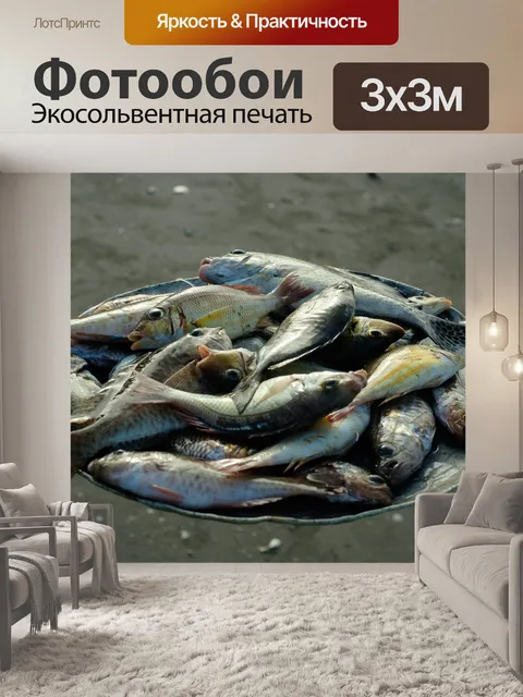 Фотообои Свежий улов