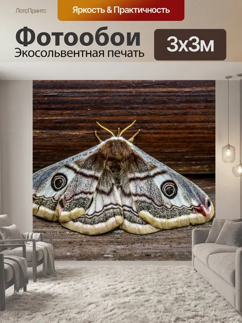 Фотообои Природа