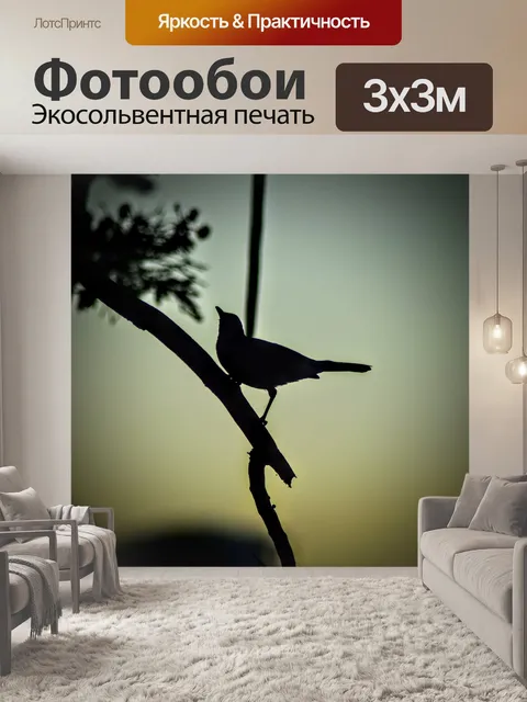 Фотообои Птица