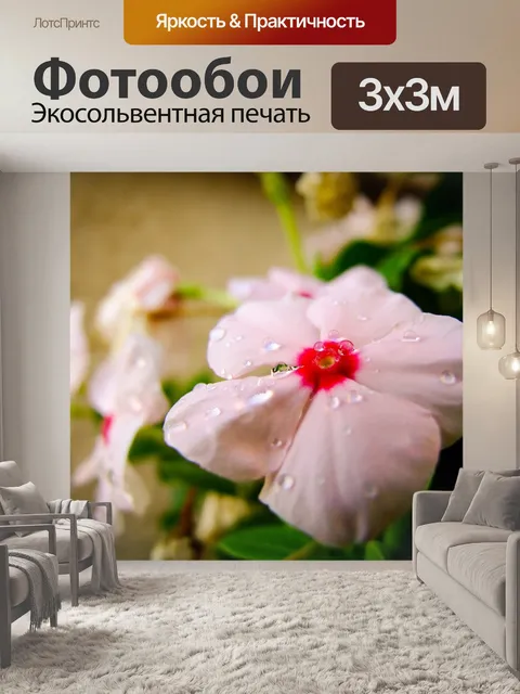 Фотообои Цветок