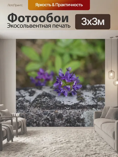 Фотообои Цветок