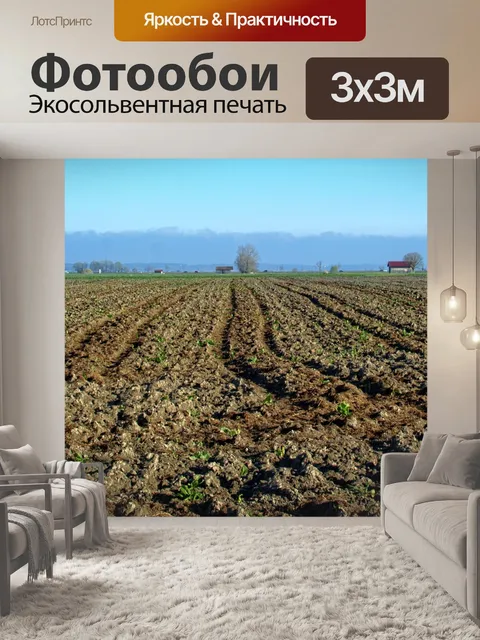 Фотообои Поле