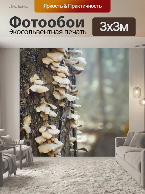 Фотообои Лес