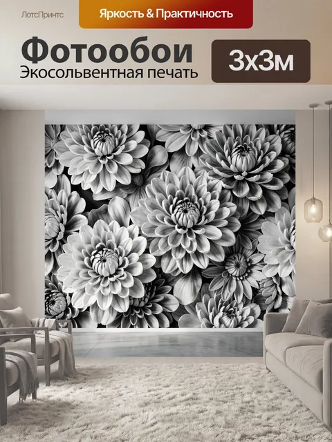 Фотообои Крупные цветы в черно-белой гамме