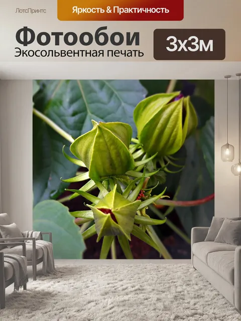 Фотообои Цветы