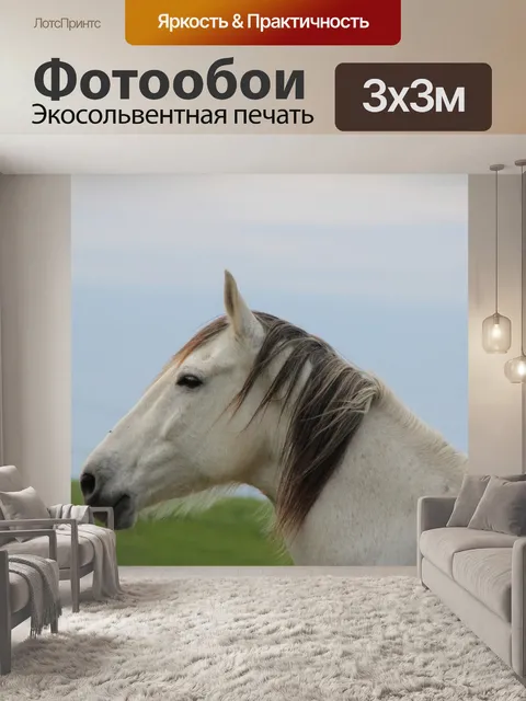 Фотообои Лошадь