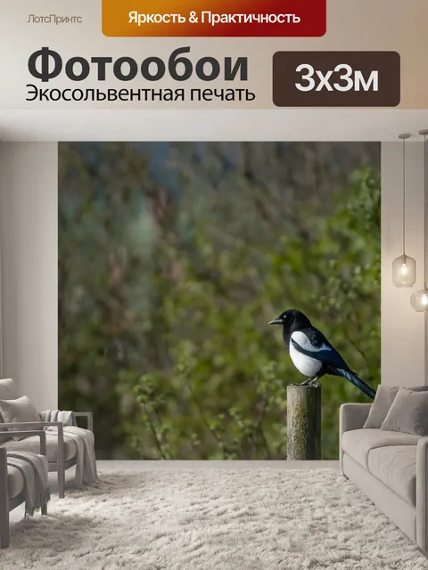 Фотообои Птица