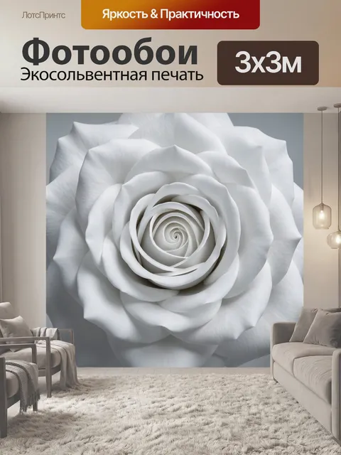 Фотообои Белая роза крупным планом