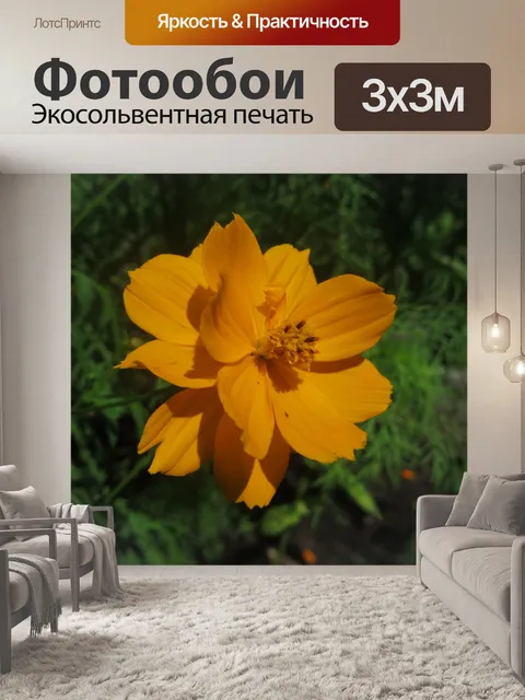 Фотообои Оранжевый Космос